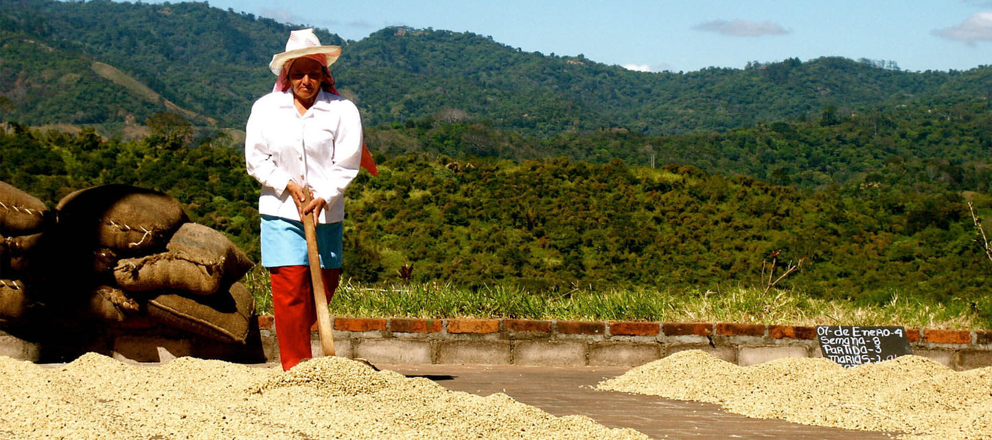 COFFEE, CHILD LABOUR AND COVID-19 - New Kings Coffee