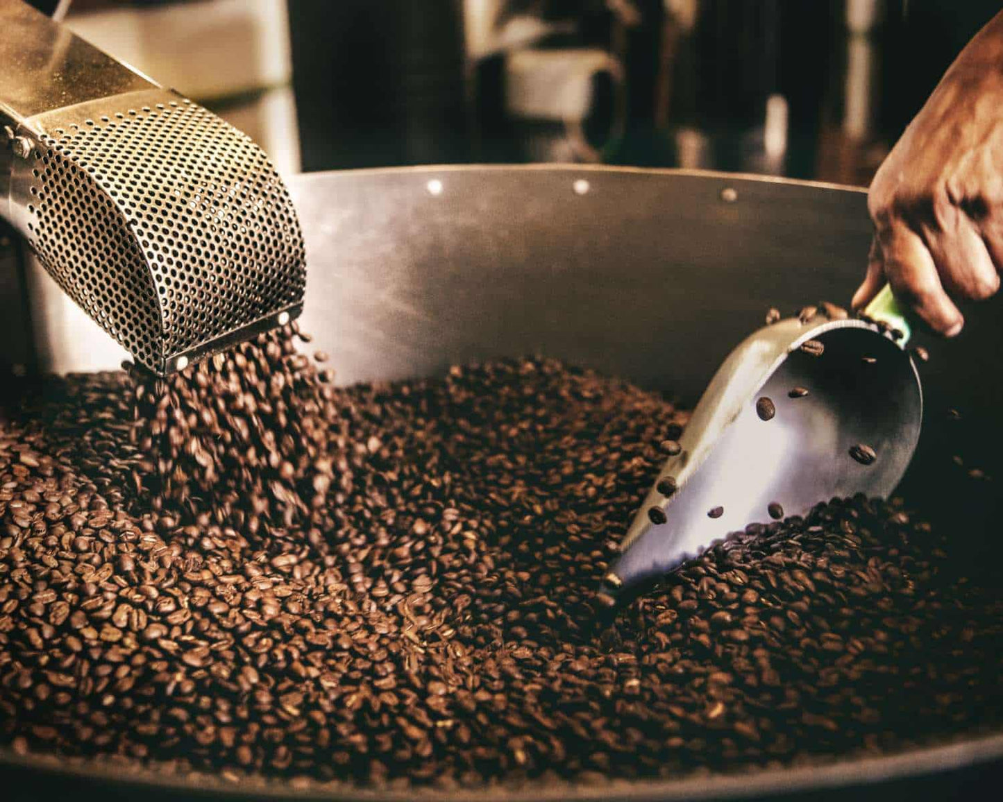 Light vs Dark Roast: What's the difference?  - New Kings Coffee